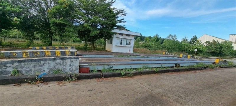 sẵn xưởng sản xuất thu hút nhiều ngành nghề, cho thuê lẻ từng xưởng hoặc toàn bộ DT