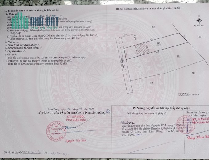 Cho thuê khách sạn Đường Đào Duy Từ, Phường 4, Đà Lạt