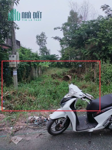 Chính Chủ Bán Đất Full Thổ Cư 162M2, Tại Xã An Ninh Đông, Đức Hòa, Long An,giá 1,2 Tỷ,LH 0907753508