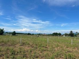em cần bán lô  đất ở Sơn Hòa