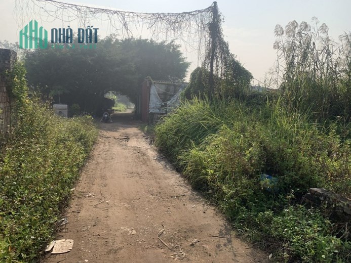 CẦN BÁN 2 MẢNH ĐẤT TẠI PHỐ THẠCH CẦU, LONG BIÊN, HÀ NỘI