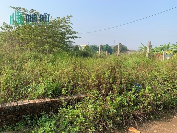 CẦN BÁN 2 MẢNH ĐẤT TẠI PHỐ THẠCH CẦU, LONG BIÊN, HÀ NỘI