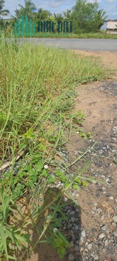 Bán đất mặt tiền nhựa 839 cách đức huệ 5km thuộc tân hiệp thạnh hóa, long an
