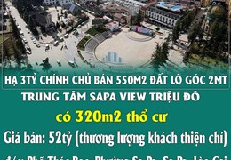 HẠ 3TỶ CHÍNH CHỦ BÁN 550M2 ĐẤT LÔ GÓC 2MT TRUNG TÂM SAPA VIEW TRIỆU ĐÔ