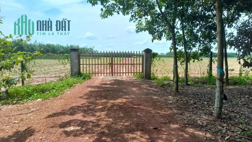 Cần bán tổng diện tích 18 mẫu đất vườn 
Tại xã đôn thuận - trảng bàng Tây Ninh