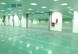 Cho thuê hơn 3000m2 xưởng Hợp Thịnh, Tam Dương giá 60k/m2