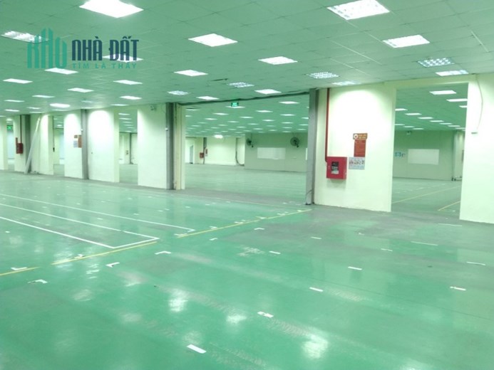 Cho thuê hơn 3000m2 xưởng Hợp Thịnh, Tam Dương giá 60k/m2