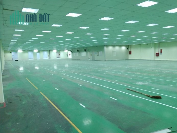 Cho thuê hơn 3000m2 xưởng Hợp Thịnh, Tam Dương giá 60k/m2