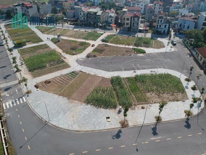 Chính chủ cần bán đất đấu giá x1 Lê Xá x2 Thái Bình và đấu giá x1 đông hội Mai Lâm.xã Mai Lâm, Đông