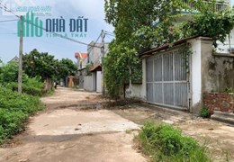 Bán gấp 300m2 đất Chương Dương Thường Tín sẵn kho xưởng.