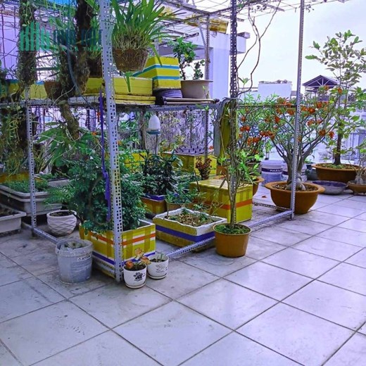 NHÀ TÂN PHÚ - TRỊNH ĐÌNH TRỌNG - HXH - BỀ NGANG BỀ THẾ 6M x 16 - 5 TẦNG - GIÁ CHI 11.5 TỶ