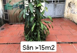 Bán nhà Hoa Bằng Cấu Giấy 60m 2 tầng mặt tiền thoáng mặt ngõ thông ô tô vào nhà chỉ 6 tỷ lh