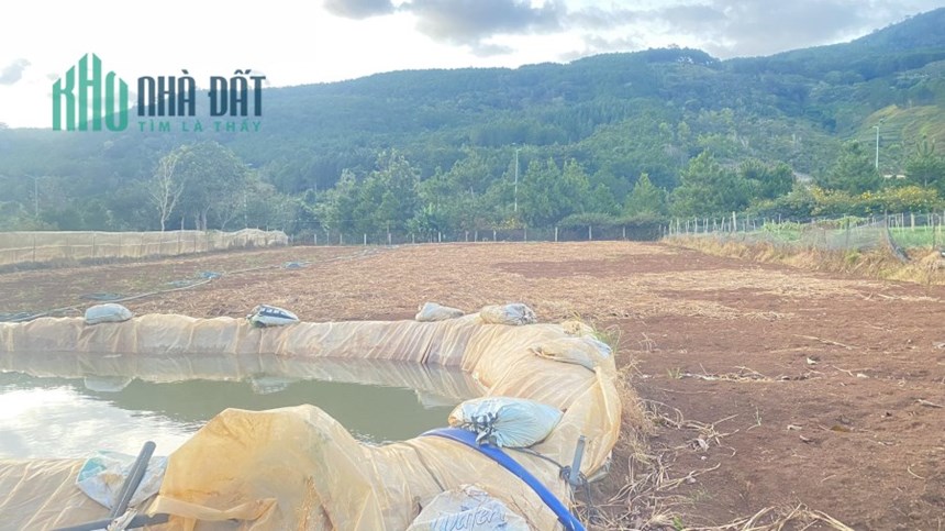 2,5 sào đất mặt tiền cao tốc thuộc hiệp an đức trọng đúng 6,1 tỷ