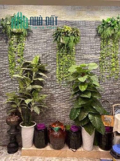 Nhà Trân Duy Hưng - Căn Góc, Có Thang Máy, Tặng Nội Thất