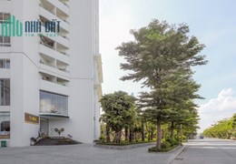 Bán Chung cư tecco Garden căn 135 mét chỉ 3,9 tỉ sổ đỏ trao tay lh 0982700605