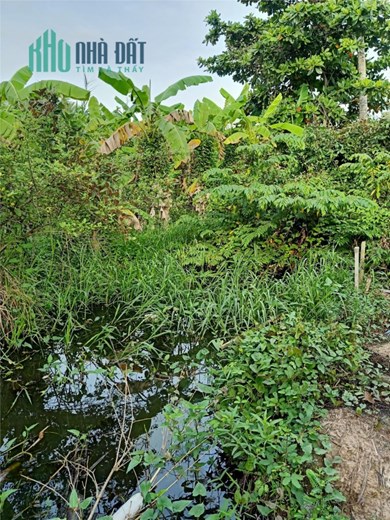 ĐẤT ĐẸP- GIÁ TỐT - CẦN BÁN  Lô Đất Tại Xã Trường An, Thành phố Vĩnh Long, Vĩnh Long