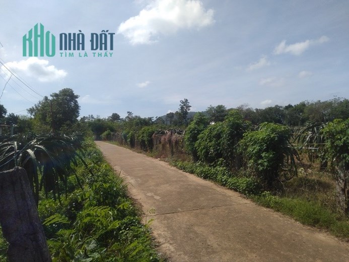 Cần sang nhượng 1400m² đất tại xã Lang Minh, Xuân Lộc, Đồng Nai