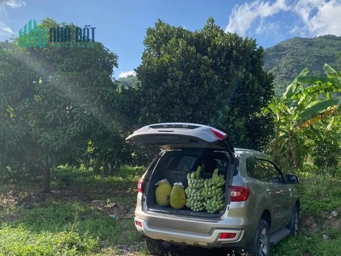 Bán lô đất rẫy Diên Điền, Diên Khánh