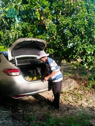 Bán lô đất rẫy Diên Điền, Diên Khánh