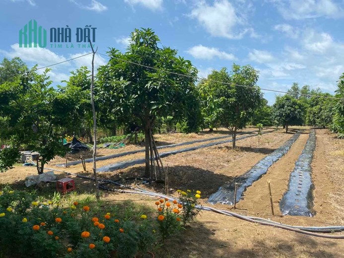 *** Bán Đất Vườn Có Thổ Cư Tại xã Long Hoà ***