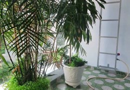 Chị gái kẹt tiền cần bán gấp căn nhà 1 trệt 2 lầu tại AN phú Thuận An