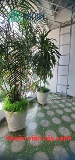 Chị gái kẹt tiền cần bán gấp căn nhà 1 trệt 2 lầu tại AN phú Thuận An