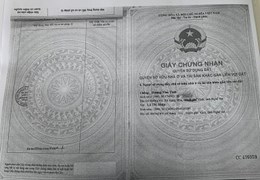 CHÍNH CHỦ CẦN BÁN LÔ ĐẤT ĐẸP TẠI .