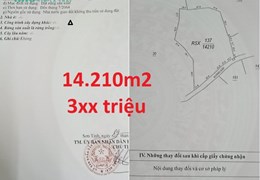 Hơn 28 sào (14.210 m2 ) đất Rừng Sản Xuất (RSX), Tịnh Đông, Sơn Tịnh, Quảng Ngãi giá chỉ 390 triệu