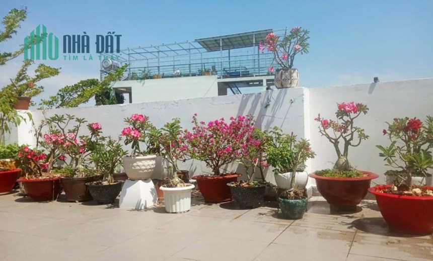 Nhà đẹp Q12, Đường nhựa 7m, nhà tâm huyết có gara ô tô, chỉ hơn 5 tỷ
