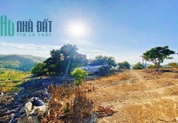 [ Hơn 5ha Cam Lâm , sau trường Hồng Bàng - 600tr/ha ] Nha Trang --------