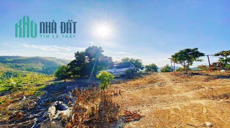 [ Hơn 5ha Cam Lâm , sau trường Hồng Bàng - 600tr/ha ] Nha Trang --------