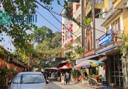 Bán Đất Tây Hồ, phố Đặng Thai Mai, 202m2, khu Vip Hồ Tây. LH: 0906299843