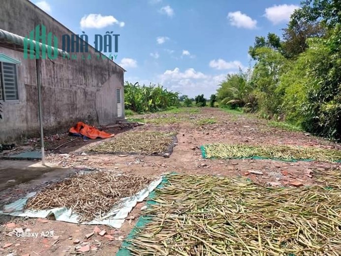 CHÍNH CHỦ CẦN BÁN GẤP LÔ ĐẤT Vị Trí Đẹp Tại  Châu Thành, Đồng Tháp