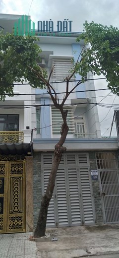 CHO THUÊ NHÀ NGUYÊN CĂN SỐ 49 ĐƯỜNG T8, P. TÂY THẠNH, QUẬN TÂN PHÚ