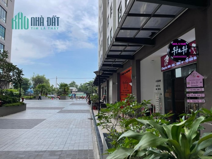 CHUYÊN MÔI GIỚI QUẬN 8, KÝ GỬI NHÀ ĐẤT QUẬN 8, BÁN NHANH VÀ ĐƯỢC GIÁ
BÁN ĐẤT MẶT TIỀN PHẠM THẾ