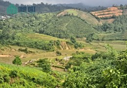 CHỦ VỠ NỢ CẮT LỖ CẦN TIỀN BÁN MẢNH ĐẤT KHU DU LỊCH QUỐC GIA MĂNG ĐEN