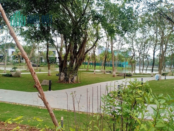 MẶT TIỀN KHỦNG – GIÁ RẺ - KHÔNG CÓ CĂN THỨ HAI – ĐẶNG THÁI MAI CHỈ 20 TỶ 0904961558