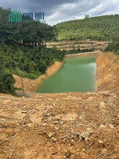 Bán đất vườn cây ăn trái, đất đỏ Bazan, tại xã Quảng Khê -huyện Đắk Glong-Đắk Nông.