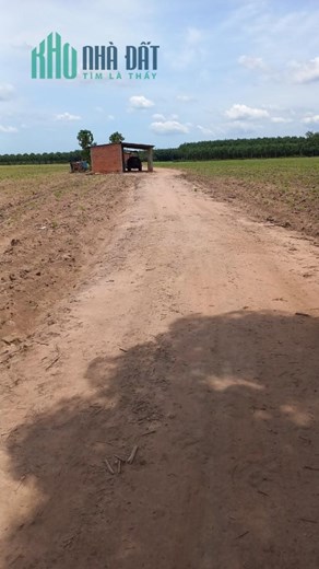 Bán đất vườn  xã đôn thuận - trảng bàng Tây Ninh
