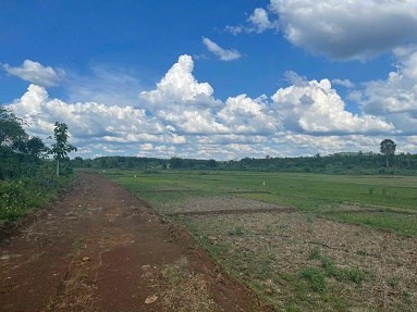 SIÊU PHẨM LÀM VIEW NHÀ VƯỜN ĐÂY Ạ 1,2 HA ĐẤT VIEW RUỘNG NGAY UB XÃ CƯ M’GAR