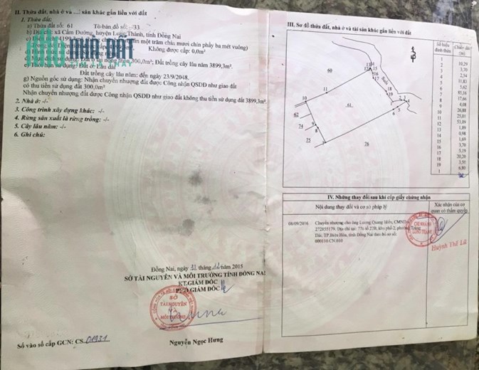 Chính chủ chuyện nhượng gấp đất thổ cư giá chốt chỉ có 3 triệu/m2