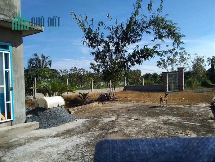 %%CHÍNH CHỦ CẦN BÁN LÔ ĐẤT TẶNG NHÀ Ở THỊ TRẤN HẬU NGĨA – HUYỆN ĐỨC HÒA – LONG AN.