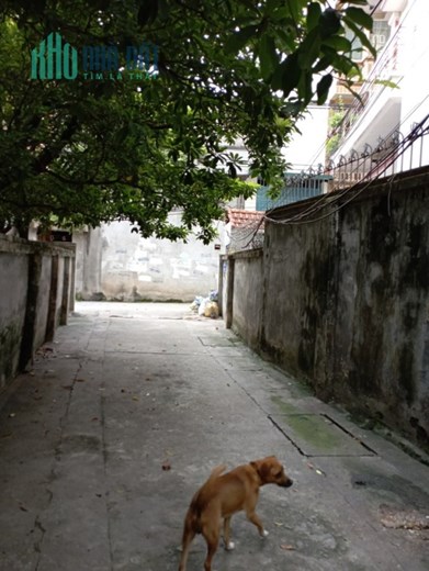 Bán đất Xuân Đỉnh, Bắc Từ Liêm. 75m2; MT 8m; giá 6 tỷ 1.