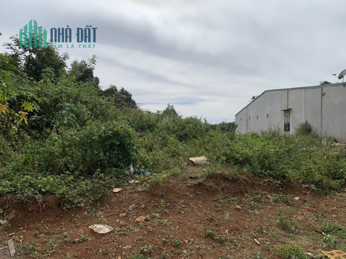 BÁN ĐẤT MẶT TIỀN NGUYỄN CHÍ THANH, TP. PLEIKU, GIA LAI