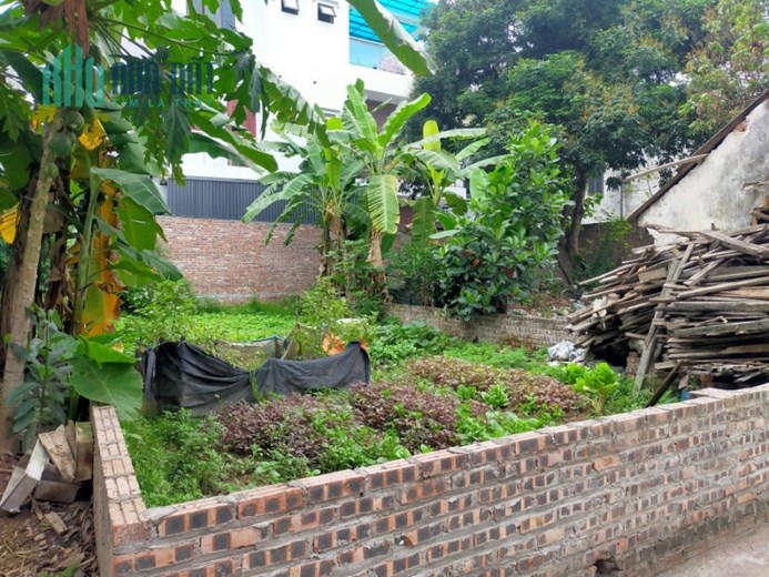 Bán đất Kim Quan, Yên Viên, oto vào rộng, ngõ nông gần chợ, 95m, mặt tiền: 5m, 4 tỷ 5