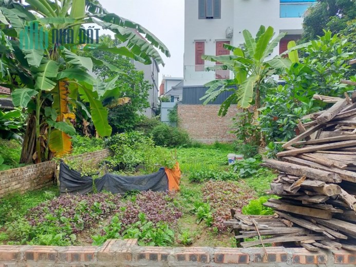 Bán đất Kim Quan, Yên Viên, oto vào rộng, ngõ nông gần chợ, 95m, mặt tiền: 5m, 4 tỷ 5