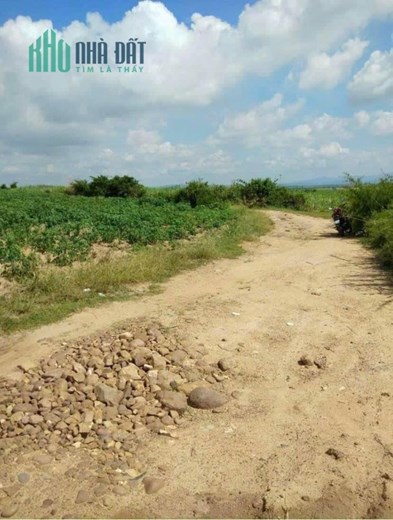 Bán đất DT 1,7 mẫu  tại Xã Chư Răng- Huyện La Pa- Tỉnh Gia Lai
