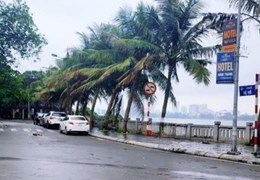 Chính Chủ Gửi Bán Gấp ! Tòa nhà view Hồ Tây, Mặt Phố  Vệ Hồ, 129m x 5 tầng, Giá nhỉnh 40 tỷ.