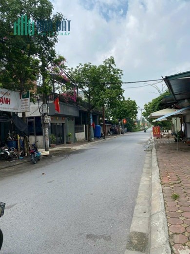 BÁN MẢNH ĐẤT VỊ TRÍ KINH DOANH 200M MẠCH TRÀNG CỔ LOA ĐÔNG ANH