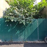 Mảnh đất vàng trong làng Thanh Xuân, view hồ, ngõ trải nhựa 3m, ở vip, xây CCMN hốt bạc.